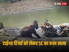 'हैरान करने वाला', उत्तराखंड में टाइगर रिजर्व प्लान नहीं होने को लेकर SC ने अधिकारियों को हाजिर होने को कहा