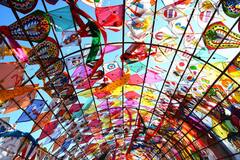 क्या सही में भारत में पतंग उड़ाना है गैर-कानूनी, ये कानून जानकर आप भी हैरान रह जाएंगे