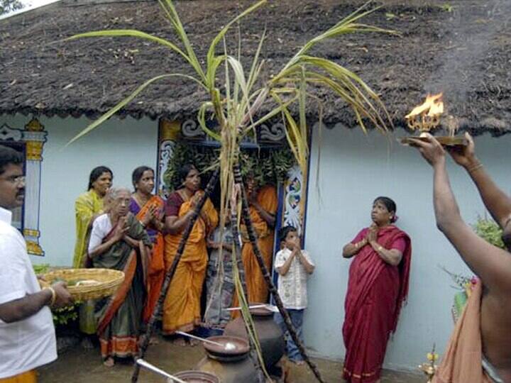 Pongal 2024: Spiritual Elders explaining Pongal fasting - TNN Pongal 2024: பொங்கல் விரத முறைகளை விளக்கும் ஆன்மீக பெரியவர்கள்