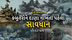 Hun To Bolish : કબુતરોને દાણા નાખતા પહેલા સાવધાન | Abp Asmita