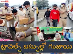 ట్రావెల్స్ బస్సుల్లో గంజాయి తరలింపు - 30 కిలోలు స్వాధీనం, 10 మంది అరెస్ట్