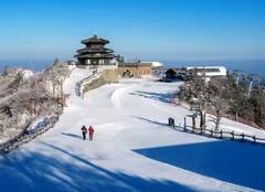 ਕੀ ਤੁਸੀਂ ਵੀ ਸਰਦੀਆਂ ਵਿੱਚ ਕਰਦੇ ਹੋ ਯਾਤਰਾ ਤਾਂ ਨਾ ਕਰੋ ਇਹ ਗਲਤੀਆਂ