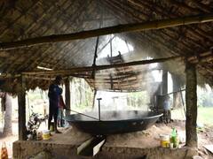 Pongal 2024 : பொங்கலை தித்திப்பாக்கும் வெல்லம் தயாராவது எப்படி தெரியுமா?