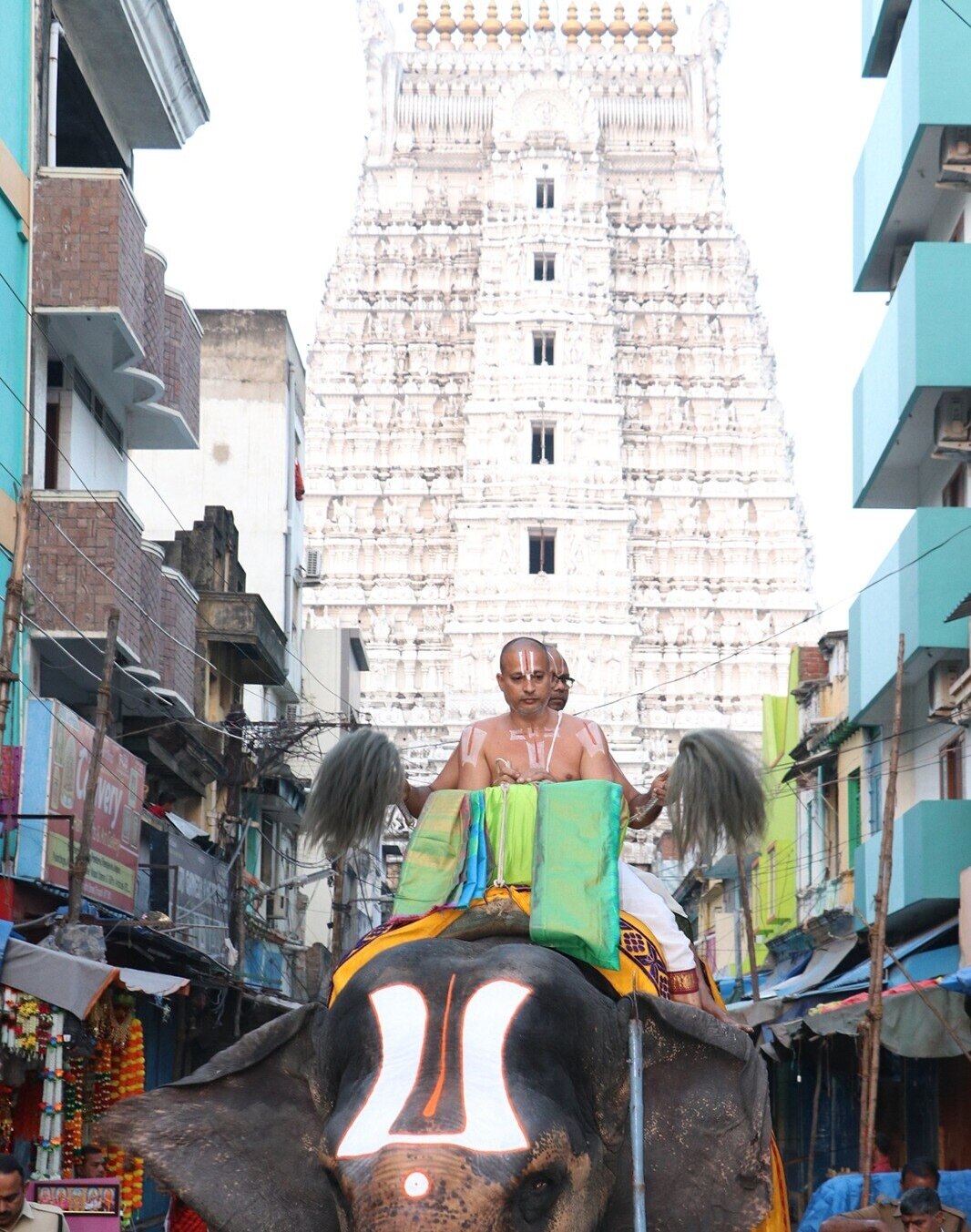 Tirumala Dharshan: తిరుమల శ్రీవారి దర్శనం - ప్రకృతి రమణీయతకు ఈ ప్రదేశాలు నిదర్శనం, సందర్శించారా?