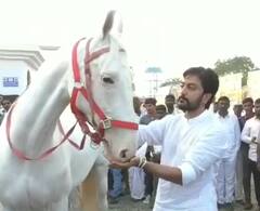 Malegaon Yatra : माळेगावच्या यात्रेत स्वर्गीय देशमुखानचा दामिनी घोडी ठरला आकर्षक