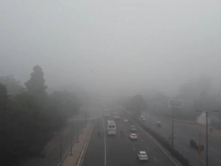 Delhi Weather Dense Fog Envelopes National Capital Due To Cold Wave 23 Trains Delayed Delhi Airport WATCH Delhi Witnesses Season's Coldest Morning As Dense Fog Envelopes Capital, 23 Trains Delayed — WATCH