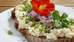 Homemade Eggless Mayonnaise:বাড়িতেই বানিয়ে ফেলুন ডিম-ছাড়া সুস্বাদু মেয়োনিজ