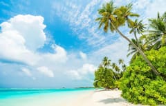 लक्षद्वीप जाना है तो यहां देखें कितना आएगा खर्च, फ्लाइट टिकट से लेकर होटल तक जानें कितने में घूम लेंगे पूरा आइलैंड