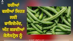 Green Beans Benefits: ਹਰੀਆਂ ਫਲੀਆਂ ਸਿਹਤ ਲਈ ਫਾਇਦੇਮੰਦ, ਘੱਟ ਕਰਦੀਆਂ ਕੋਲੈਸਟ੍ਰੋਲ ਨੂੰ 