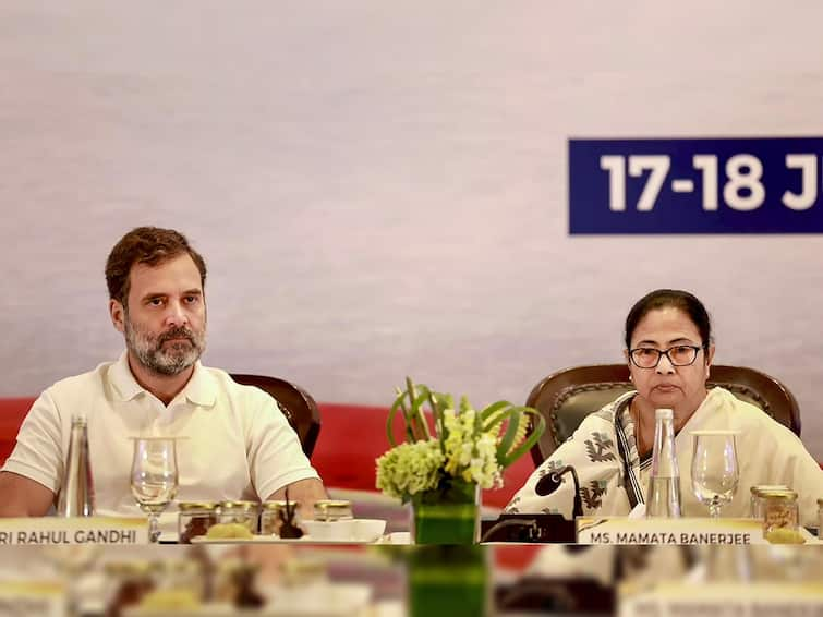 Lok Sabha Election 2024 TMC Declines Meeting Congress Alliance Committee On INDIA Seat-Sharing In West Bengal LS Polls: TMC Declines Meeting Cong Alliance Panel On Bengal Seat-Sharing, Conveys Stance — Report