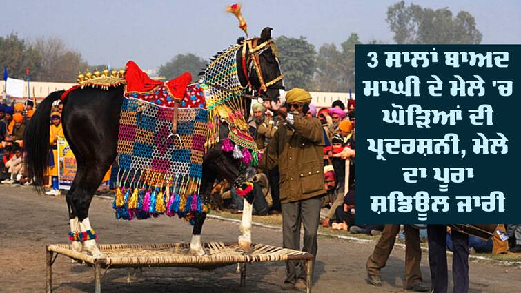 Magh Mela-2024 horse mandi is significant at Maghi mela abpp Magh Mela-2024: 3 ਸਾਲਾਂ ਬਾਅਦ ਮਾਘੀ ਦੇ ਮੇਲੇ 'ਚ ਘੋੜਿਆਂ ਦੀ ਪ੍ਰਦਰਸ਼ਨੀ, ਮੇਲੇ ਦਾ ਪੂਰਾ ਸ਼ਡਿਊਲ ਜਾਰੀ