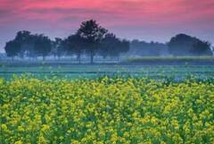 Lohri 2024: ਲੋਹੜੀ ਨਾਲ ਜੁੜੇ 5 ਰੋਚਕ ਤੱਥ, ਜਾਣੋ ਕੁਝ ਖ਼ਾਸ ਗੱਲਾਂ