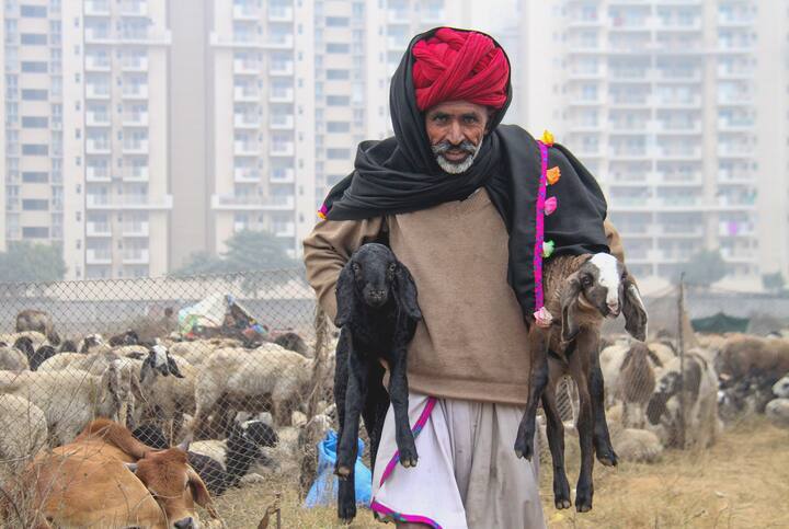 करनाल में न्यूनतम तापमान चार डिग्री सेल्सियस, भिवानी में 4.1 डिग्री सेल्सियस, रोहतक में 4.2 डिग्री सेल्सियस, सिरसा में पांच डिग्री सेल्सियस और अंबाला में 5.4 डिग्री सेल्सियस न्यूनतम तापमान दर्ज किया गया.