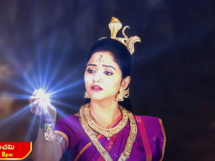 naga panchami serial today january 12th episode written update in telugu Naga Panchami Serial Today January 12th: చనిపోయిన మోక్ష - పంచమిని బెదిరించి నాగమణి సొంతం చేసుకున్న కరాళి!