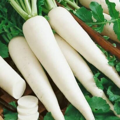 Radish ਨੂੰ ਸਲਾਦ ਵਿਚ ਬਹੁਤ ਪਸੰਦ ਕੀਤਾ ਜਾਂਦਾ ਹੈ, ਇਸ ਲਈ ਇਸ ਦੇ ਪਰਾਠੇ ਅਤੇ ਸਬਜ਼ੀਆਂ ਦੇ ਪਕਵਾਨਾਂ ਵਿਚ ਕੋਈ ਕਮੀ ਨਹੀਂ ਹੁੰਦੀ। ਜੇਕਰ ਤੁਸੀਂ ਮੂਲੀ ਨੂੰ ਦੇਖ ਕੇ ਚਿਹਰਾ ਬਣਾਉਂਦੇ ਹੋ ਤਾਂ ਇਸ ਦੇ ਫਾਇਦੇ ਜਾਣਨਾ ਤੁਹਾਡੇ....