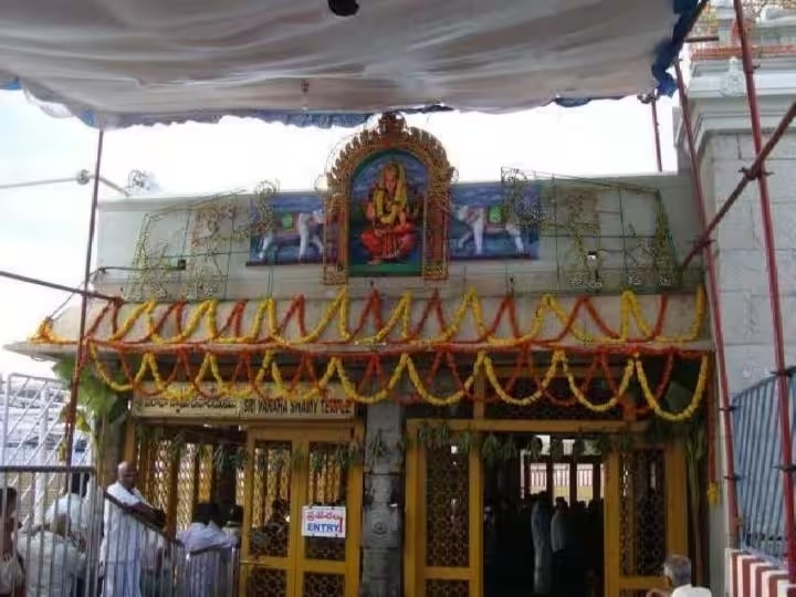 Tirumala Dharshan: తిరుమల శ్రీవారి దర్శనం - ప్రకృతి రమణీయతకు ఈ ప్రదేశాలు నిదర్శనం, సందర్శించారా?