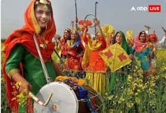 Lohri 2024: ਲੋਹੜੀ 'ਤੇ ਕਿਉਂ ਖ਼ਾਸ ਹੁੰਦੇ ਗੁੜ ਅਤੇ ਤਿਲ? ਜਾਣੋ ਇਸ ਦੀ ਮਹੱਤਤਾ