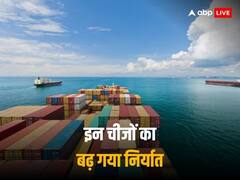 इन सेक्टर्स के दम पर भारत ने दी ग्लोबल स्लोडाउन को मात, इस वित्त वर्ष में खूब हुआ निर्यात
