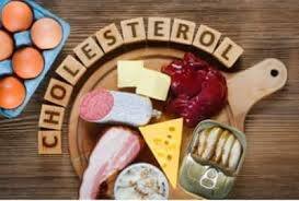 Health Tips in winters include these five food in your diet to control bad cholesterol marathi news Health Tips : हिवाळ्यात वाढलेला कोलेस्ट्रॉल कमी करायचाय? 'या' 5 गोष्टींचा आहारात समावेश करा