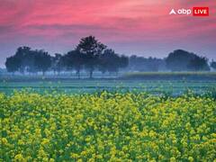 Lohri 2024: लोहड़ी के पर्व से जुड़े 5 रोचक तथ्य, जानें लोहड़ी से जुड़ी महत्वपूर्ण बातें