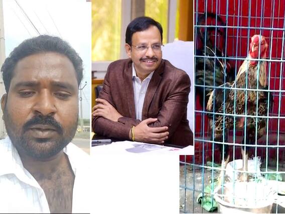 Karimnagar RTC Depot Auction Fighter Cock : పందెం కోడి నాదేనంటూ ఓ వ్యక్తి వీడియో | ABP Desam