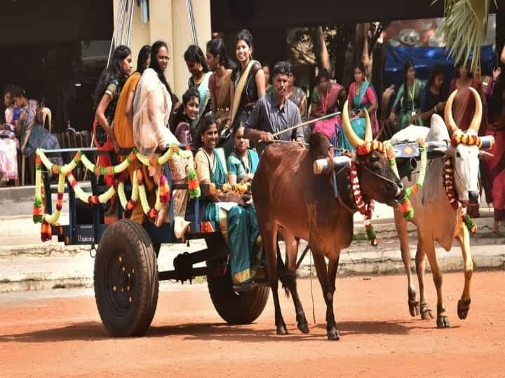 பொங்கல் பண்டிகை முன்னிட்டு மதுரை மாவட்டத்தில் உள்ள பல்வேறு கல்லூரியில் பொங்கல் விழா கொண்டாடப்பட்டது.