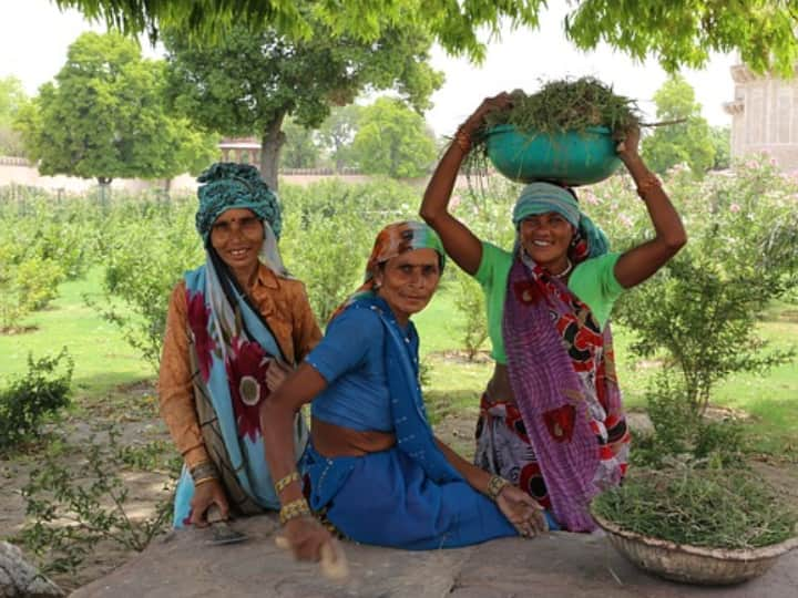 Ladli Behna Yojana Two lakh women included in scheme did not get money how to check status Ladli Behna Yojana: लाडली बहना योजना में शामिल दो लाख महिलाओं को नहीं मिले पैसे, ऐसे चेक करें स्टेटस