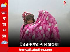 ঘন কুয়াশার সতর্কতা, আরও নামবে পারদ উত্তরবঙ্গে