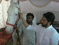 Malegaon Yatra : माळेगावच्या यात्रेत स्वर्गीय देशमुखानचा दामिनी घोडी ठरला आकर्षक