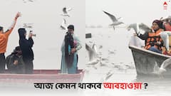 Weather Update: ঘন কুয়াশার সতর্কতা, বাড়বে হিমেল হাওয়ার দাপট, সপ্তাহান্তে পারদ পতনের পূর্বাভাস