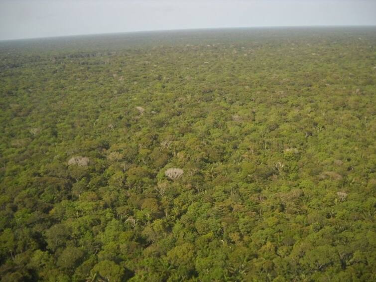 3,000-Year-Old City Discovered in Amazon Rainforest అమెజాన్ అడవుల్లో బయట పడ్డ 3 వేల ఏళ్ల నాటి నగరం, లేజర్ స్కానింగ్‌లో వెలుగులోకి