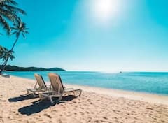 શું તમે પણ કરી રહ્યા છો Lakshadweep જવાનો પ્લાન ? આ ફેમસ ફૂડનો સ્વાદ માણજો