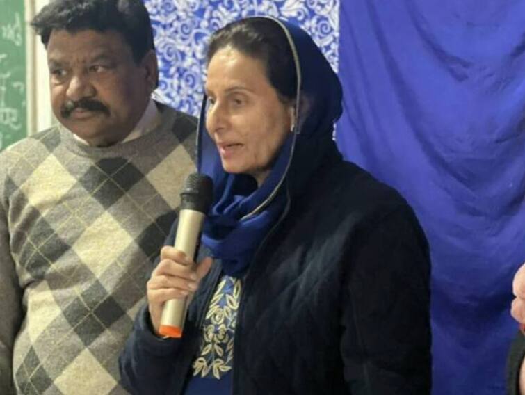 Praneet Kaur lamented the worsening law and order situation in Punjab Patiala News: 'ਪੰਜਾਬ ਸਰਕਾਰ ਤੇ ਪੁਲਿਸ ਤੋਂ ਲੋਕਾਂ ਦਾ ਉੱਠ ਰਿਹਾ ਯਕੀਨ. ਬੜੇ ਦੁੱਖ ਦੀ ਗੱਲ ਹੈ ਕਿ...'