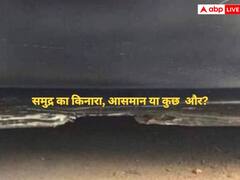 Optical Illusion: समुद्र का किनारा या फिर कुछ और क्या दिखा?, दिमाग घुमाने वाली है यह तस्वीर