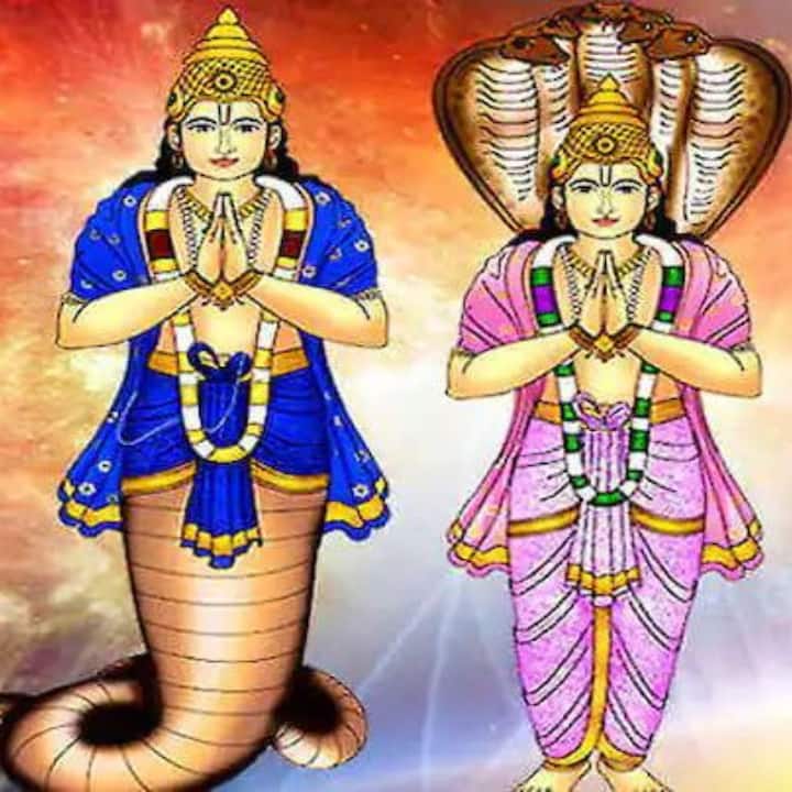 জ্যোতিষশাস্ত্রে, রাহু ও কেতু উভয়কেই ছায়া গ্রহ হিসাবে বিবেচনা করা হয়। প্রতি ১৫ মাসে এরা রাশিচক্র পরিবর্তন করে। নয়টি গ্রহের মধ্যে, রাহু-কেতুই একমাত্র গ্রহ যা বিপরীত দিকে চলে যায় অর্থাৎ পিছিয়ে যায়।