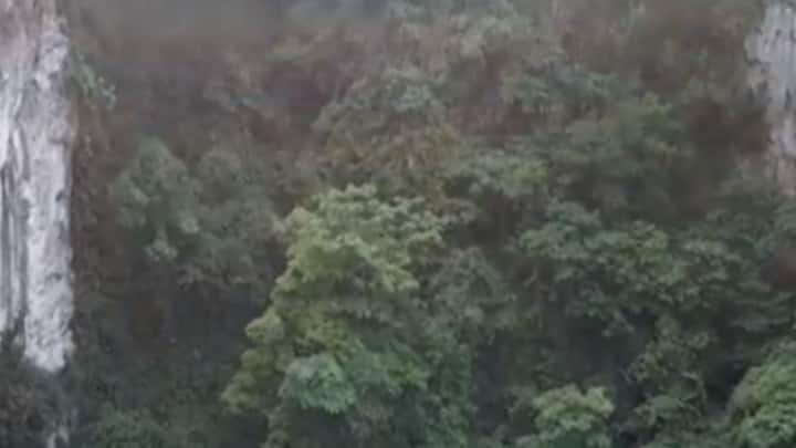 সেখানে একটি পাহাড়ে অনুভূমিক অবস্থানে একটি গুহার খোঁজও পেয়ে যান তাঁরা। কিন্তু উঁকিঝুঁকি দিয়ে, টর্চের আলো ফেলেও ভিতরের কিছু বোঝা যাচ্ছিল না। নিকষ অন্ধকার ছাড়া চোখে পড়ছিল না কিছু। ছবি: ভিডিও ফুটেজ থেকে সংগৃহীত। ছবি: ভিডিও ফুটেজ থেকে সংগৃহীত।