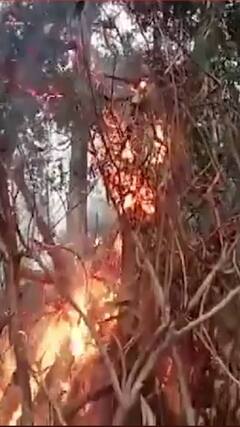 सीमा सुरक्षा बल के जवानों ने ग्रामीणों के साथ मनाई लोहड़ी | #abpnewsshorts