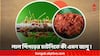 Red Ant Chutney GI tag: লাল পিঁপড়েতে এমন কী জাদু ? কেনই বা এর চাটনি জিআই ট্যাগ পেল? খেতে হলে কীভাবেই বা রাঁধবেন