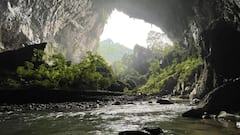 Ancient Forest Inside Sinkhole: উপড়ে ফেললেও আবার মাথা তুলে দাঁড়ায় গাছ, চিনে গুহার নিচে রয়েছে প্রাচীন জাদু-অরণ্য