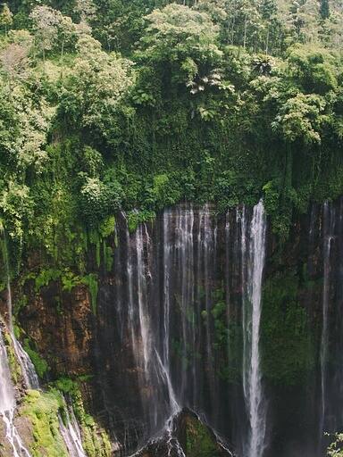 'India' से बना है इंडोनेशिया!