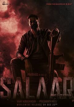 Salaar Box Office Collection Day 22: बॉक्स ऑफिसवर 'सालार'चा वेग मंदावला, 22व्या दिवसाच्या कलेक्शनने चिंता वाढवली आहे.