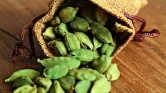 Spices Health Benefits: মধ্যবিত্তের রান্নাঘরের ৫ মশলা, শীতের মরশুমে সুস্থ থাকতে ভরসা রাখুন এগুলিতেই