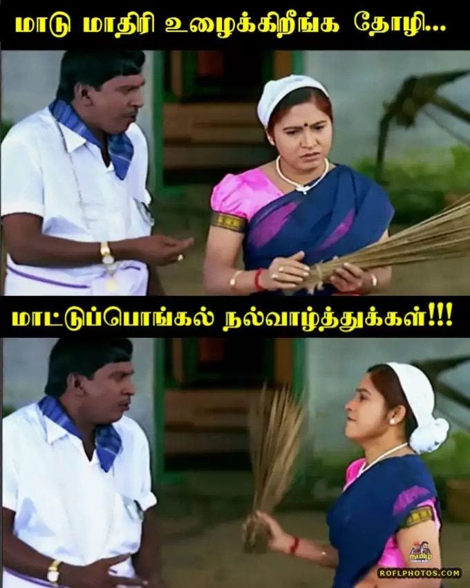 Mattu Pongal Funny Wishes: மாட்டுப் பொங்கல் வாழ்த்துகளை அனுப்பி நண்பர்களை கலாய்ப்பவரா நீங்கள்? உங்களுக்குத்தான் இது..