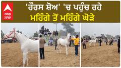 Muktsar Horse Show|'ਹੌਰਸ ਸ਼ੋਅ' 'ਚ ਪਹੁੰਚ ਰਹੇ ਮਹਿੰਗੇ ਤੋਂ ਮਹਿੰਗੇ ਘੋੜੇ