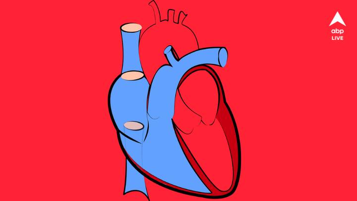 রক্তের কোলেস্টেরল কমায়: রক্তের কোলেস্টেরল হার্টের সমস্যার কারণ হয়ে দাঁড়ায়। সে বিপদ কমিয়ে দেয় শিম।‌ এর ডায়েটারি ফাইবার কোলেস্টেরল কমাতে সাহায্য করে। (প্রতীকী ছবি সৌজন্য: পিক্স্যাবে) ডিসক্লেমার : এই তথ্যাদি আপনার জন্য প্রয়োগহেতু ভিন্নও হতে পারে। তাই উপযুক্ত বিশেষজ্ঞের পরামর্শ নিন অবশ্যই