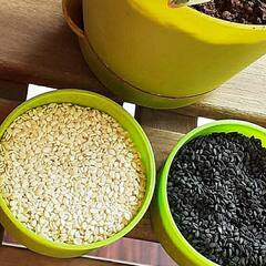 Healthy Tips: ਖੂਬਸੂਰਤ ਸਕਿੱਨ ਲਈ ਆਪਣੀ Diet ਵਿੱਚ ਸ਼ਾਮਲ ਕਰੋ ਤਿਲ