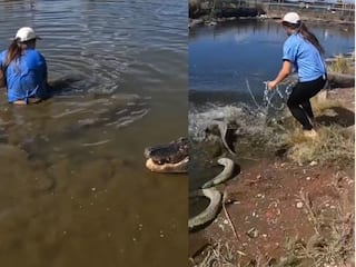 लड़की की इस हिम्मत को देखकर हर कोई चौंका, पानी के अंदर घुसकर मगरमच्छ को घसीटकर लाया बाहर