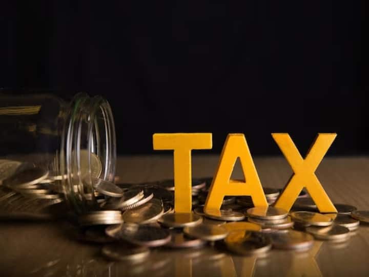 Tax Saving Options: अगर आप टैक्स सेविंग स्कीम्स की तलाश कर रहे हैं तो हम आपको कुछ ऐसी स्कीम्स के बारे में बता रहे हैं, जो आपकी कमाई के एक बड़े हिस्से को इनकम टैक्स से बचा सकती हैं...