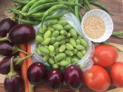 Makar Sankranti Bhogi bhaji : 'हे' आहे भोगीच्या भाजीचे महत्त्व!