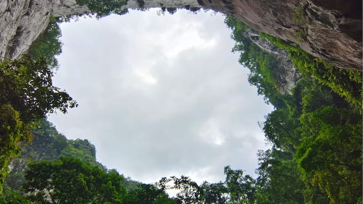 চিনে পার্বত্য এলাকায় থরে থরে সাজানো গুহা রয়েছে। ২৩টি এমন গুহা UNESCO হেরিটেজ হিসেবে স্বীকৃতিও পেয়েছে। তেমনই এক গুহার নীচে আস্ত অরণ্যের খোঁজ মেলে কয়েক বছর আগে। ছবি: Atlas Obscura.